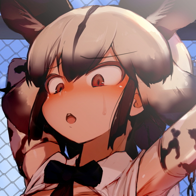 [R-18] 【スカトロ注意】キンシコウに浣腸されるリカオン #けものフレンズ #キンシコウ(けものフレンズ) #リカオン(けものフレンズ) #スカトロ #浣腸 https://t.co/iVv52BEqa9 