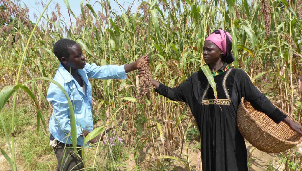 NexeRevista tweet media