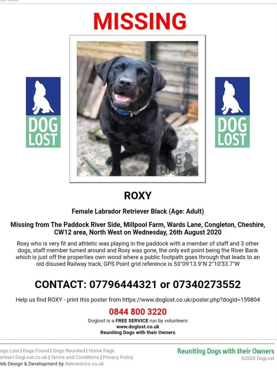 @RSPCA_official please please can you share 😢 Roxy has literally just vanished 😔 Playing one minute and then gone without a trace 😢 Someone must know something #missing from #Congleton #Cheshire on 26th August Roxy is a #supportdog 😔 facebook.com/groups/6080316…