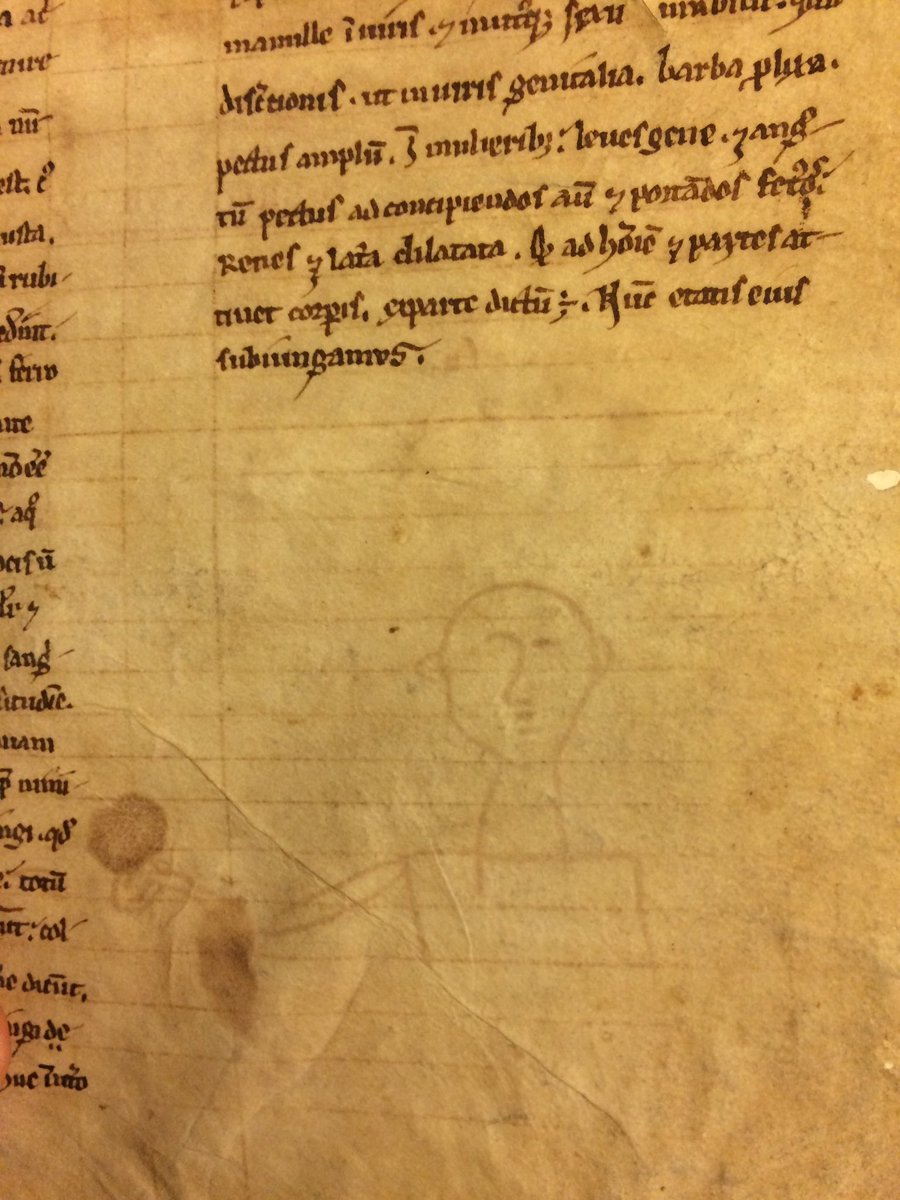 petetoth's tweet image. Look what boredom can make of a medieval scribe - avant-garde @BLMedieval Burney 327
#MondayMotivation #artist