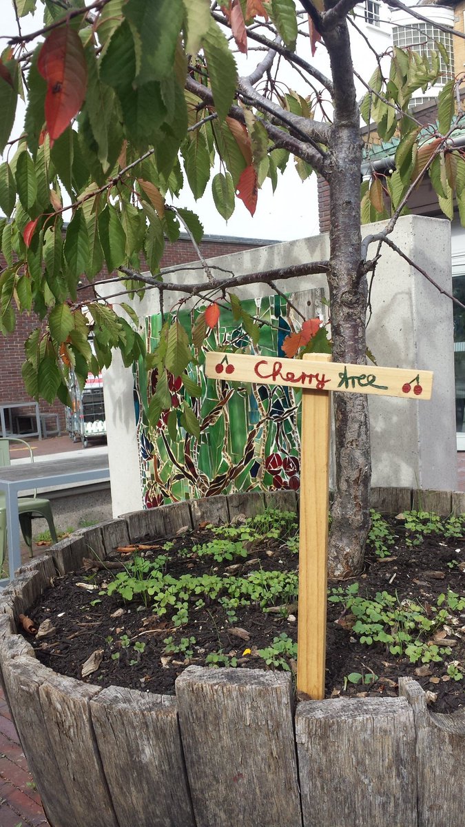 Growhampton's tweet photo. Our resident garden artists made these funky new signs for the edible campus.
@Capital_Growth @RoehamptonSU @RoehamptonUni @RoeChaplaincy @sosukcharity @Roe_Southlands
#WeAreUR #Roey #growyourown #art #urbangrowers #unilife #greenstudents #colour #gardens https://t.co/BapRmmwcJ5