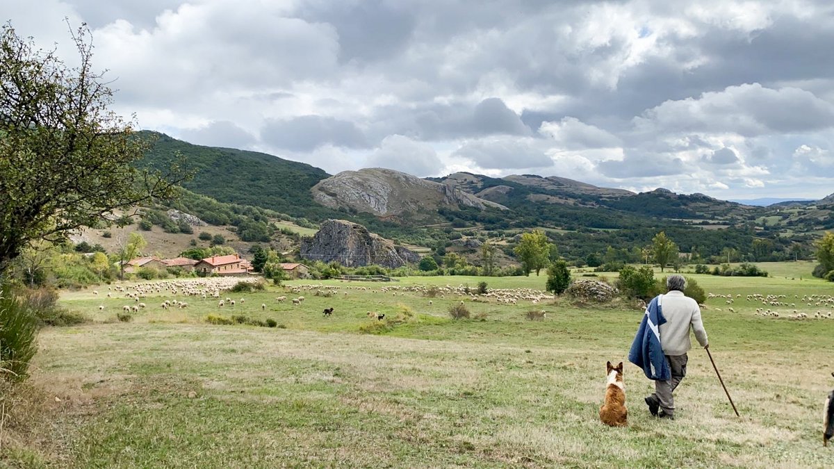 EA group tweet media