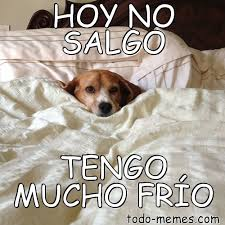 Lina Rubina tweet media