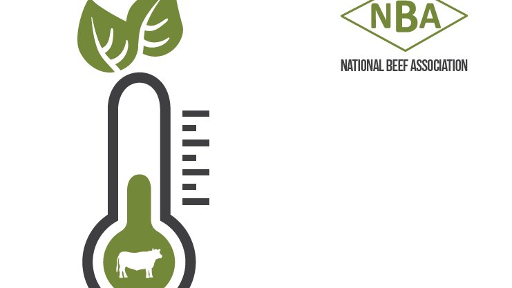 devonseano's tweet photo. Proposal by @natbeefassoc - all cattle to be finished by 27 months or face penalties.  How?  Feedlots, concentrates, intensification - surely higher emissions than #regenerative #pasture fed cattle?  Did you factor #sequestration #soilhealth and #wildlife into your CO2 calcs? https://t.co/6qafHqm0Dt