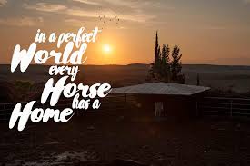 BostonPoloClub's tweet photo. Motivation Monday!  #perfectworld #home #horselove #horselife #equine https://t.co/RGt9YTg26n