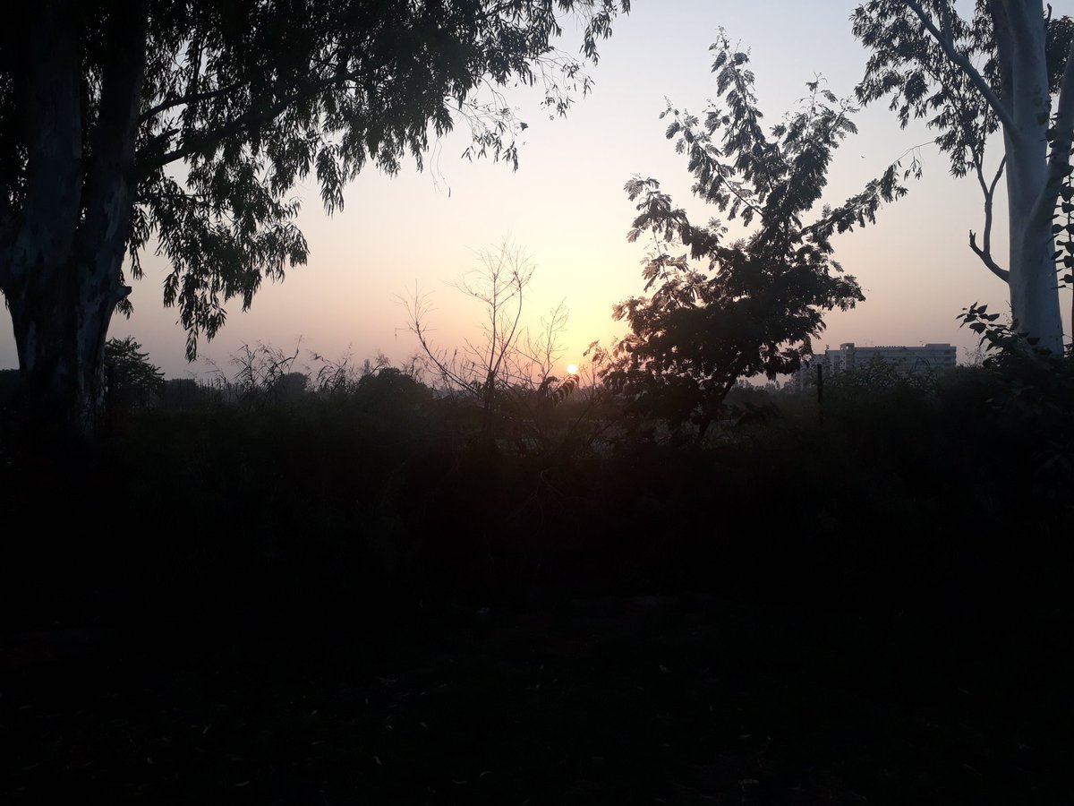 mosarrapkhan's tweet photo. #TheSettingSun https://t.co/rousTMjY5c