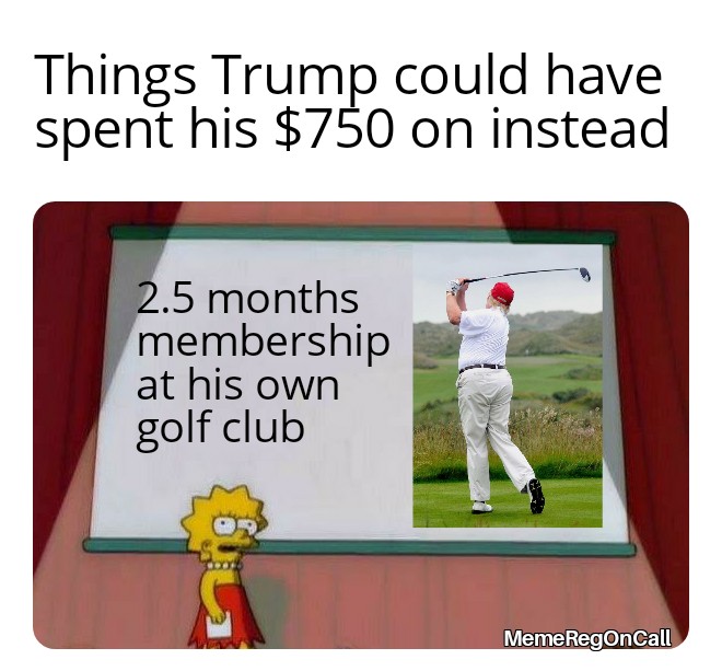 What Trump could have done instead of paying the huge unreasonable amount of tax he has already paid.  #MemeReg  #medtwitter  #trump  #750dollars