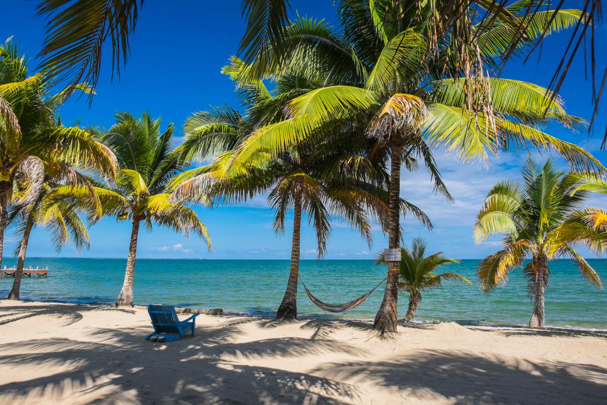 belizehub's tweet photo. Good Morning From Beautiful Belize!
#Belize #BelizeHub #UltimateBelizeBucketList #GoodMorningBelize https://t.co/z3pMRLdmux