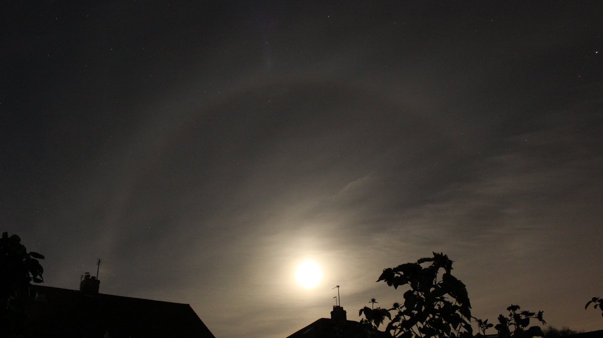 Amateur astronomer tweet media