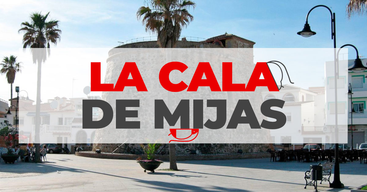 plagiser's tweet image. La plaga de procesionaria del Pino es habitual en La Cala de Mijas, este insecto es una oruga que vive en las copas altas de los árboles, metida en bolsones, y que en primavera desciende en procesión por los troncos hasta llegar al suelo.

plagiser.com/es/blog-plagis…