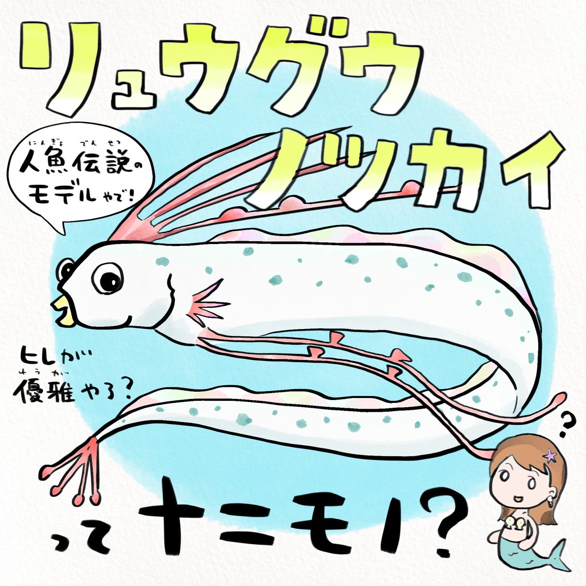 とりあえず身体を切ってなんとかするさかな、リュウグウノツカイ #どこが人魚 