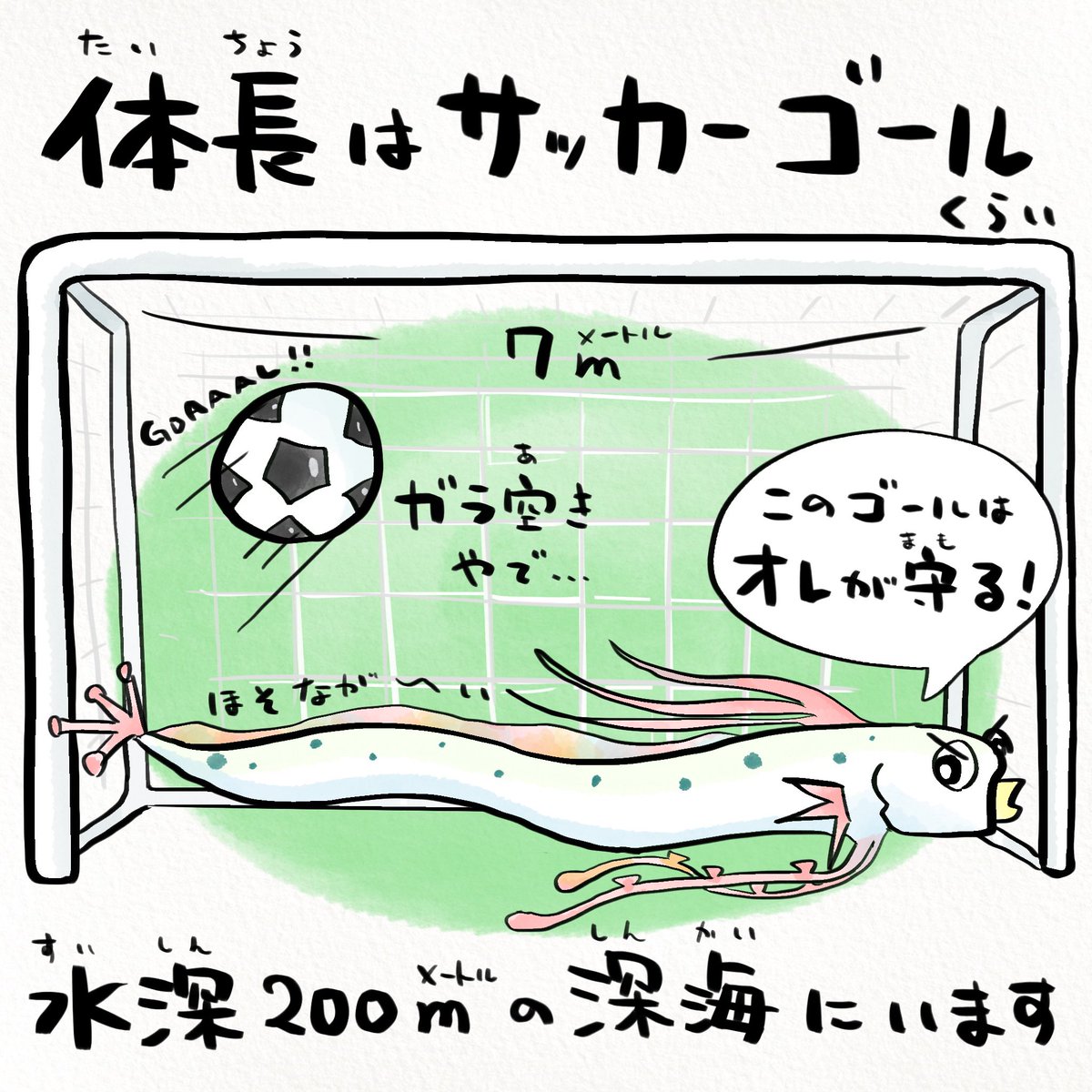 とりあえず身体を切ってなんとかするさかな、リュウグウノツカイ #どこが人魚 