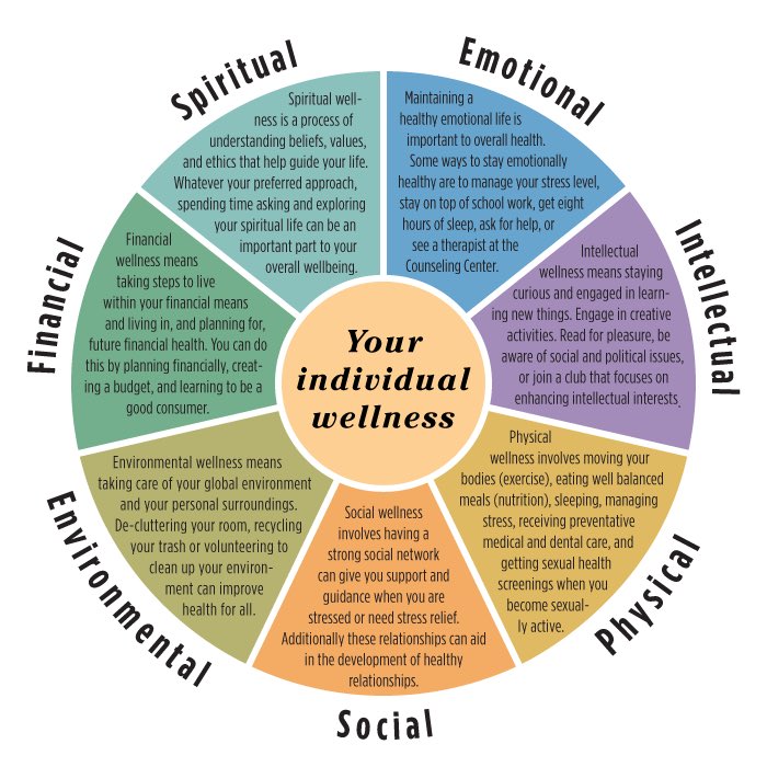 because wellness is holistic.