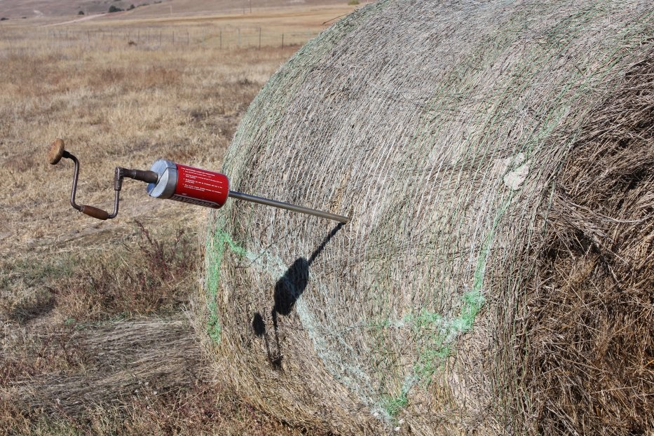 beef_educator's tweet photo. Did you know many Nebraska Extension offices have hay probes you can borrow to test your hay? 

Read or listen (~5min) how the value of testing hay to cost effectively meet cattle nutrient needs
https://t.co/7hehyQPmfw

#UNLBeefExt
#NebExtBeef https://t.co/pLioOVnKDt