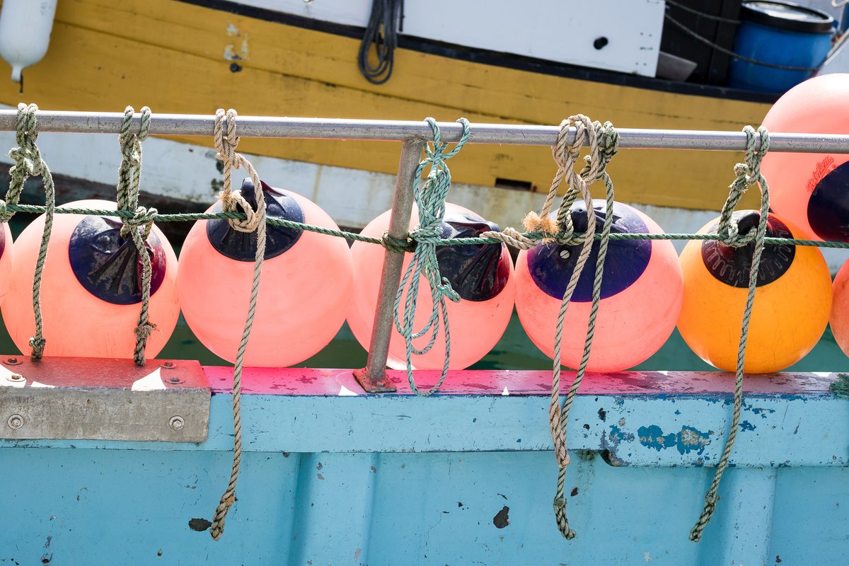 The time has finally come - your #innovative applications have been assessed, decisions have been made, and successful applicants are being notified this week! 👏 

We can't wait to share this new batch of innovative #aquaculture, #fisheries &amp; #seafood projects with you!