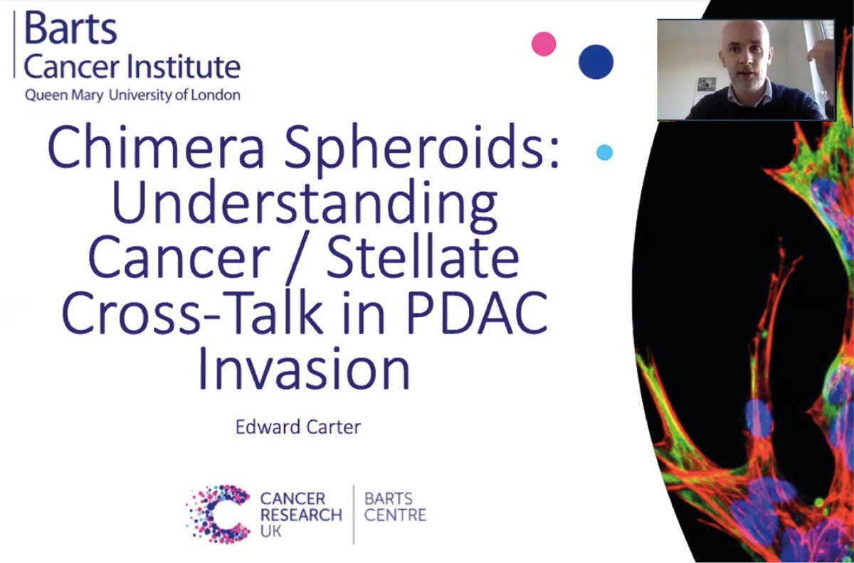 Well done and thank you to <a href="/ECarter3D/">Edward Carter</a> for sharing his research in today's <a href="/QMBCI/">Barts Cancer Institute (Queen Mary)</a> tumour biology meeting. Really interesting example of how chimera spheroids can be used to investigate cellular crosstalk in cancer #PancreaticCancer #CancerResearch