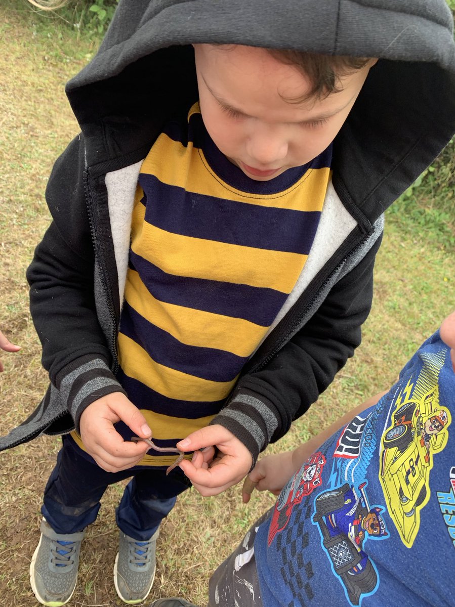 MsCourteny's tweet photo. C-“those are called magnets” B-“No, it’s a worm” C-it’s a magnet, it grows into a worm” lots of discovery happening @Oldfield_Osprey #nspreprimary this morning! #discovery #playbasedlearning he meant maggot. #authenticassessment #hrcepreprimary #curious #confident #capable https://t.co/CSswQt7TEF