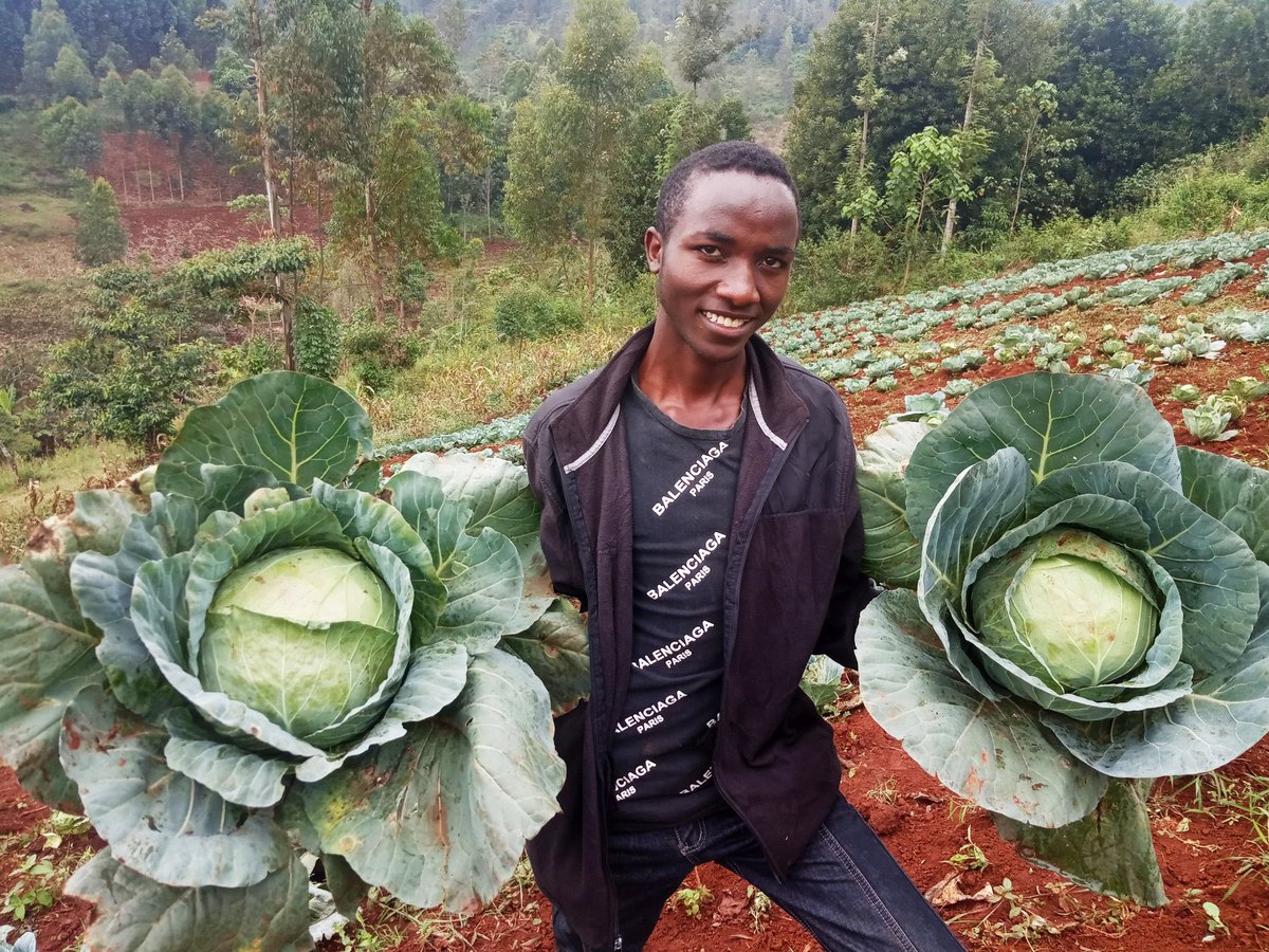 PowerOfOneKenya's tweet photo. The power of change and a better future lies with us.That is a conviction held by Braise Mwangi, a @GivingEducation scholar and a student @StMarysBoysNyeri. Braise is growing cabbages, as a passionate farmer to supplement the needs of his family.
#mondaythought
#COVID19 https://t.co/D0vOQir0jb