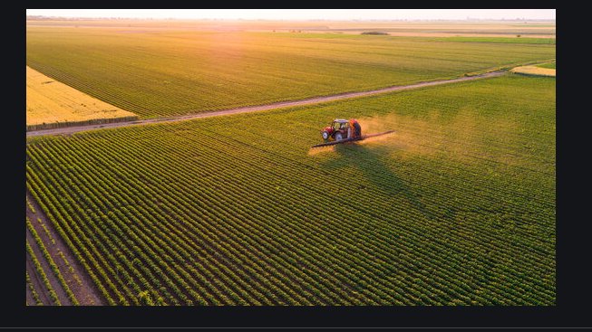 as well as FAR better re biodiversity. LOOK morons, this Serbia after 7 millenia of sheep (oldest known use wool fabric) : WHERE are the wolves & bears dancing round the f****** crops???? Look at the forest there all that time.