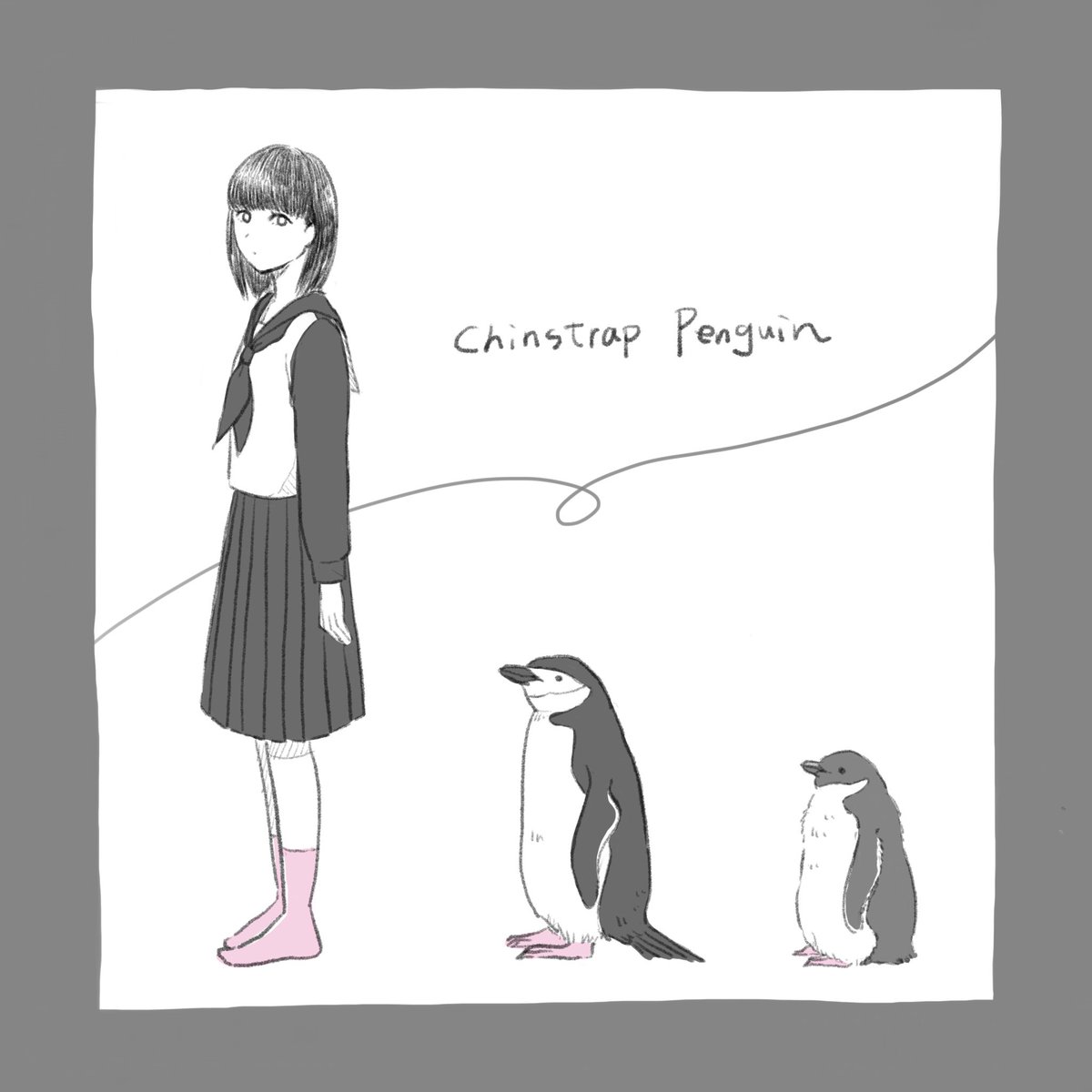 ヒゲペンギンと女の子
#ヒゲペンギン #ペンギン 
