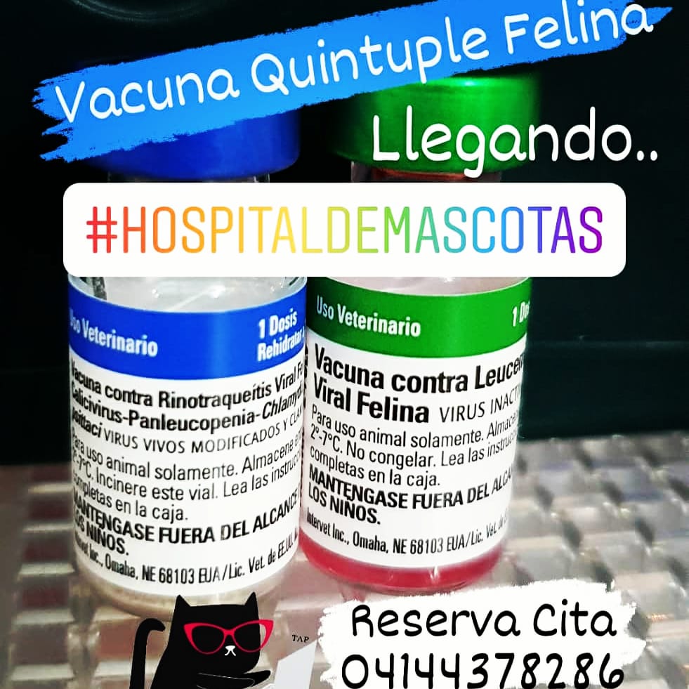 ASOGUAU tweet media