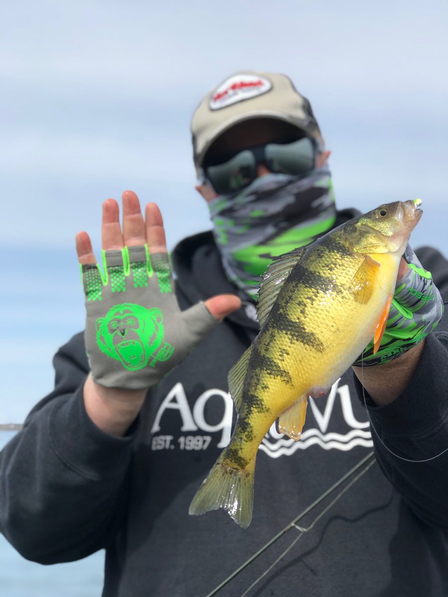 brobull's tweet image. #MondayMotivation #FishMonkeyMondays #CatchTheMonkey Sept Fish On’ Anglers 🎣🙉🧤🧤BB                           @FishMonkeyGear