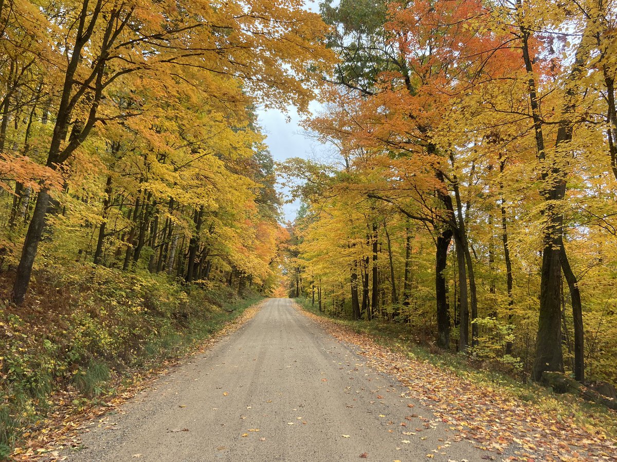GRHappenings's tweet photo. Grand Rapids, MN Area is now 75-100% peak Fall Colors. Now is the perfect time to reconnect and relax up north. https://t.co/LmzSzANj1h #fall #safesocialdistancing #fallgetaway #grandrapidsmn #onlyinmn https://t.co/G3hB0wWqDR