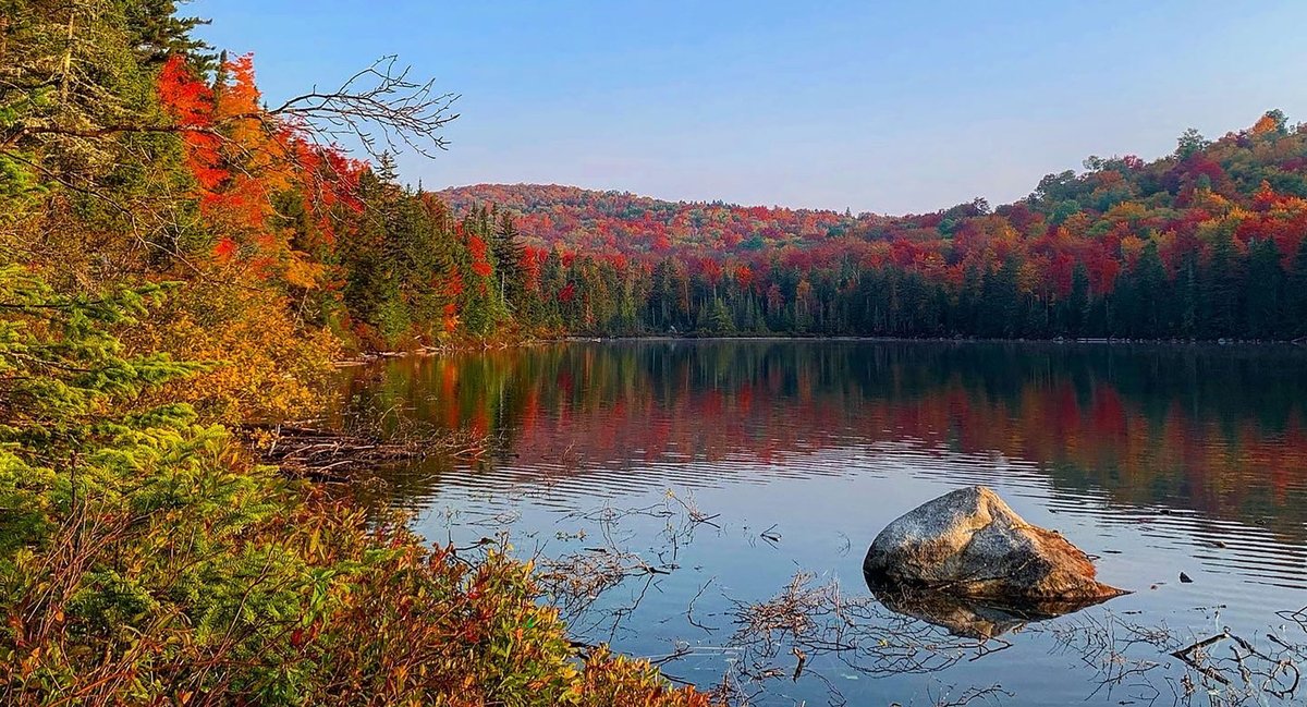 VermontNRCS's tweet photo. Good morning #Vermont! What a beautiful weekend it was, as seen in this pic from #GrotonStateForest taken by #soilconservationist Jimmy Young. #rootedinVermont #fallcolors #ConservationMatters https://t.co/64yvsupX6e