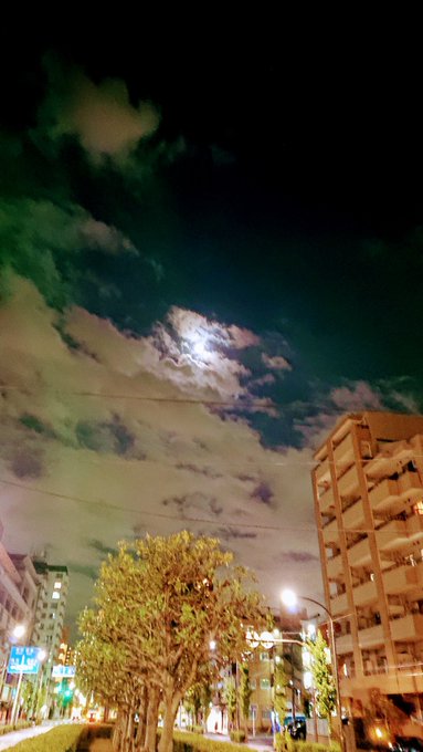 龍 竜の波動オーラのtwitterイラスト検索結果