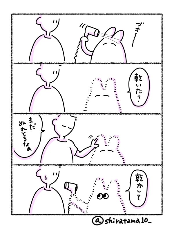 しらたま 乾いたかを確認するのは 乾かしてもらうフリです しぶしぶ乾かしてくれる 絵日記 日常漫画 四コマ漫画 4コマ漫画 カップル漫画 夫婦漫画 漫画 イラスト日記 イラスト しらたま 乾いたかを確認するのは 乾かしてもらうフリです しぶしぶ乾かしてくれる 絵日記 日常漫画 四コマ漫画 4コマ漫画 カップル漫画 夫婦漫画 漫画 イラスト日記 イラスト
