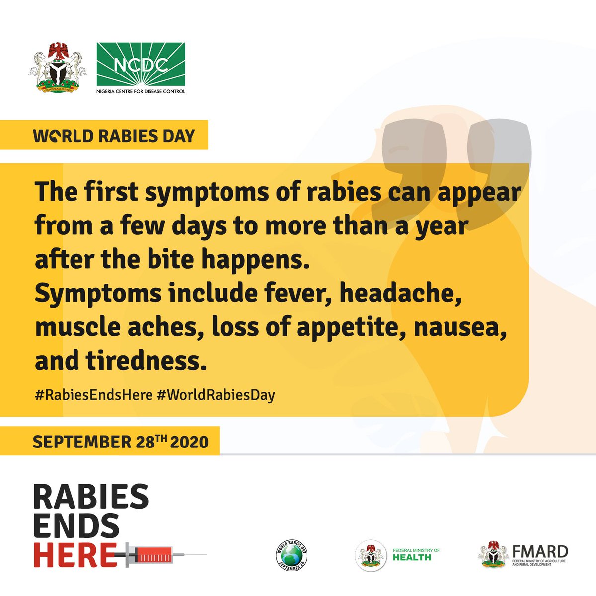 10 Signs Of Rabies In Dogs And Their Three Prominent vrogue.co