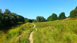 The Great Big Greenspace Survey tweet media
