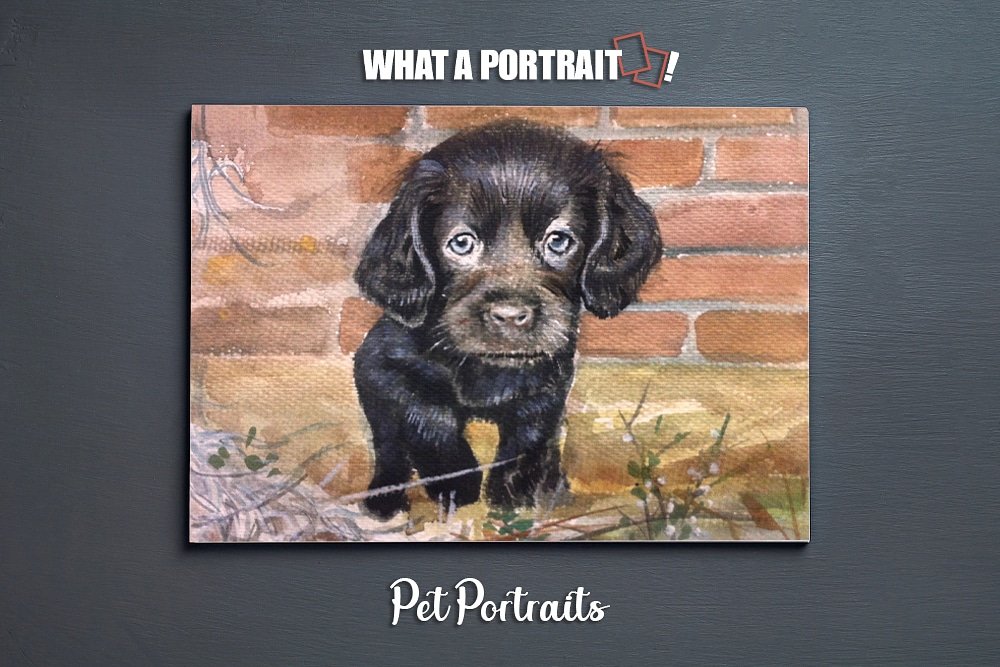 Isn't that a cutie? It's your way of celebrating your love for the pets. Order a handmade pet painting today!

bit.ly/2kD4yMH
#phototopainting #petportrait #petlover #petsofinstagram #dogsofinstagram