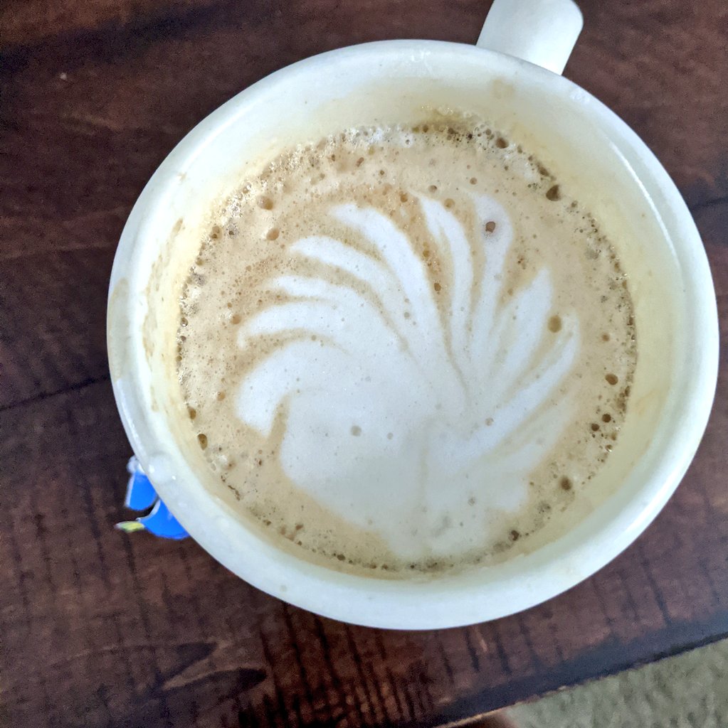 TeachDORY's tweet photo. @studiocastillo my milk froth reminded me of HEDGIE 💓🦔what an inspiring way to start my day!! https://t.co/vQ8WyWr4Fa