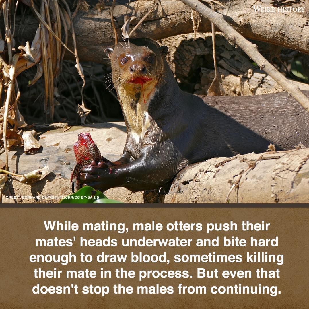 AnAceToAMenace's tweet photo. The tip doesn’t sound so bad now, does it? @HisGemOfAMenace https://t.co/QZNGYdWcoA
