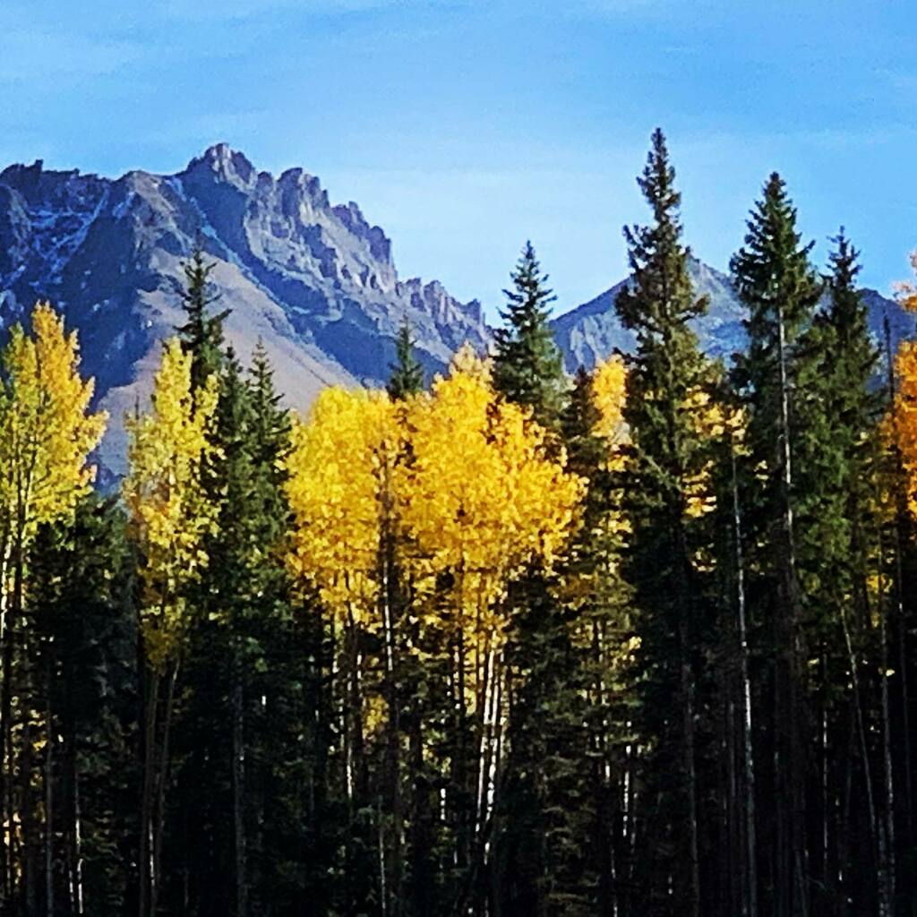 Good morning #monday 
Open today at noon ~
#freejuke from 12-2pm 
We have #mondaynightfootball on all the TVs too! 
.
.
#thebaryouvebeenpracticingfor #aspens #fall #autumn #goldentrees #fallcolors #coldbeer #irishpub #irish #nowthatscolorado