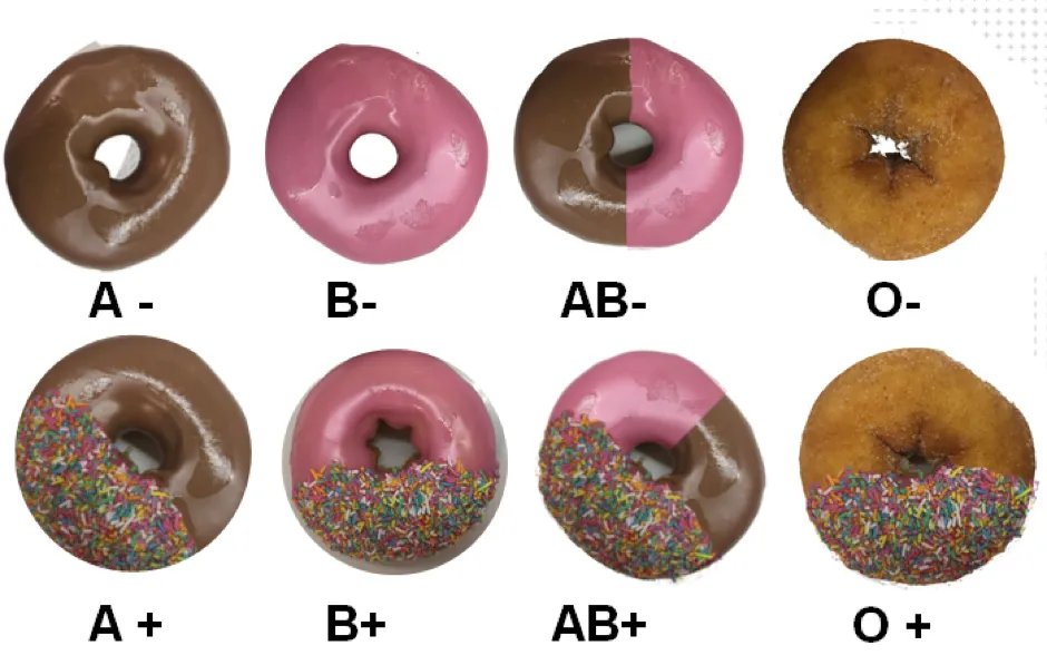 DNA_RNA_Uni's tweet photo. Blood Types and Donuts: How Blood Typing Works and Why it Matters 😋🥯

https://t.co/MaWN9m5y7X

@purigenbio @_atanas_ @grawoig @rnomics @EricTopol @biohackersPew @PeptideScience @NovogeneLS #biologist #Donuts #ScienceTwitter https://t.co/dgBsQiYyAe