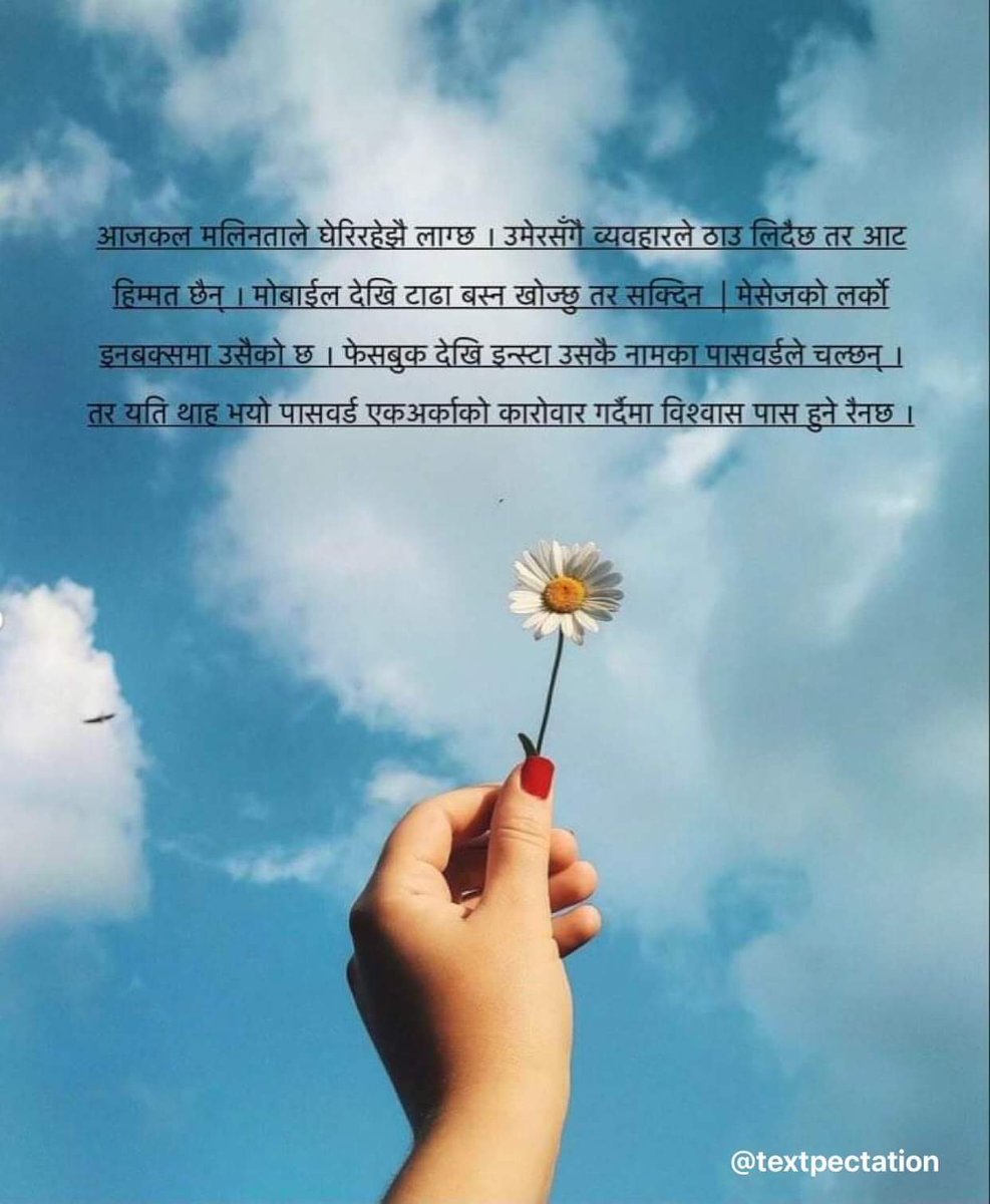 Text_pectation's tweet image. 