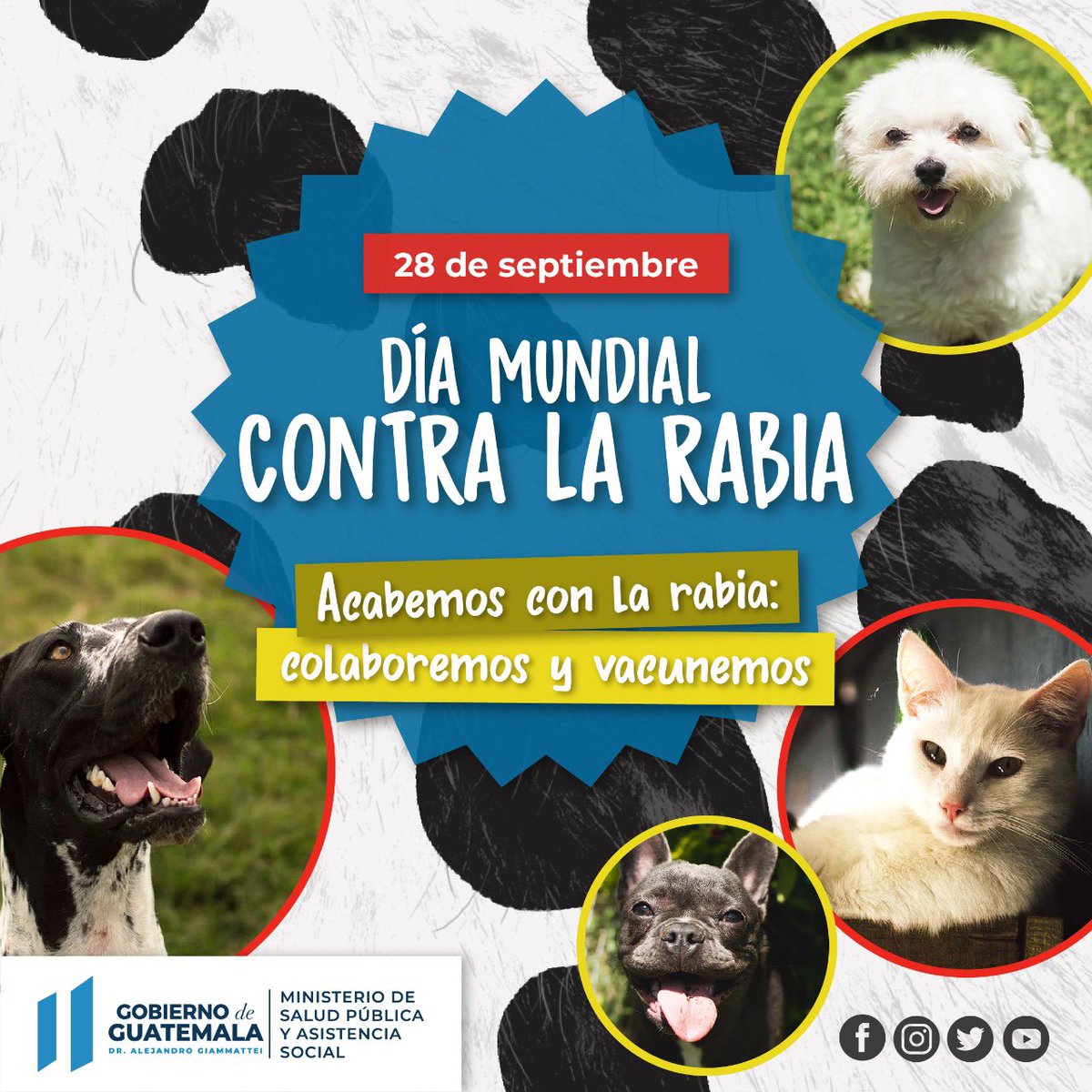 Ministerio de Salud Pública on Twitter: "28 de septiembre, Día Mundial  contra la Rabia 🐶🦮🐈 La vacunación de los animales domésticos es la mejor  estrategia para prevenir la rabia en el ser