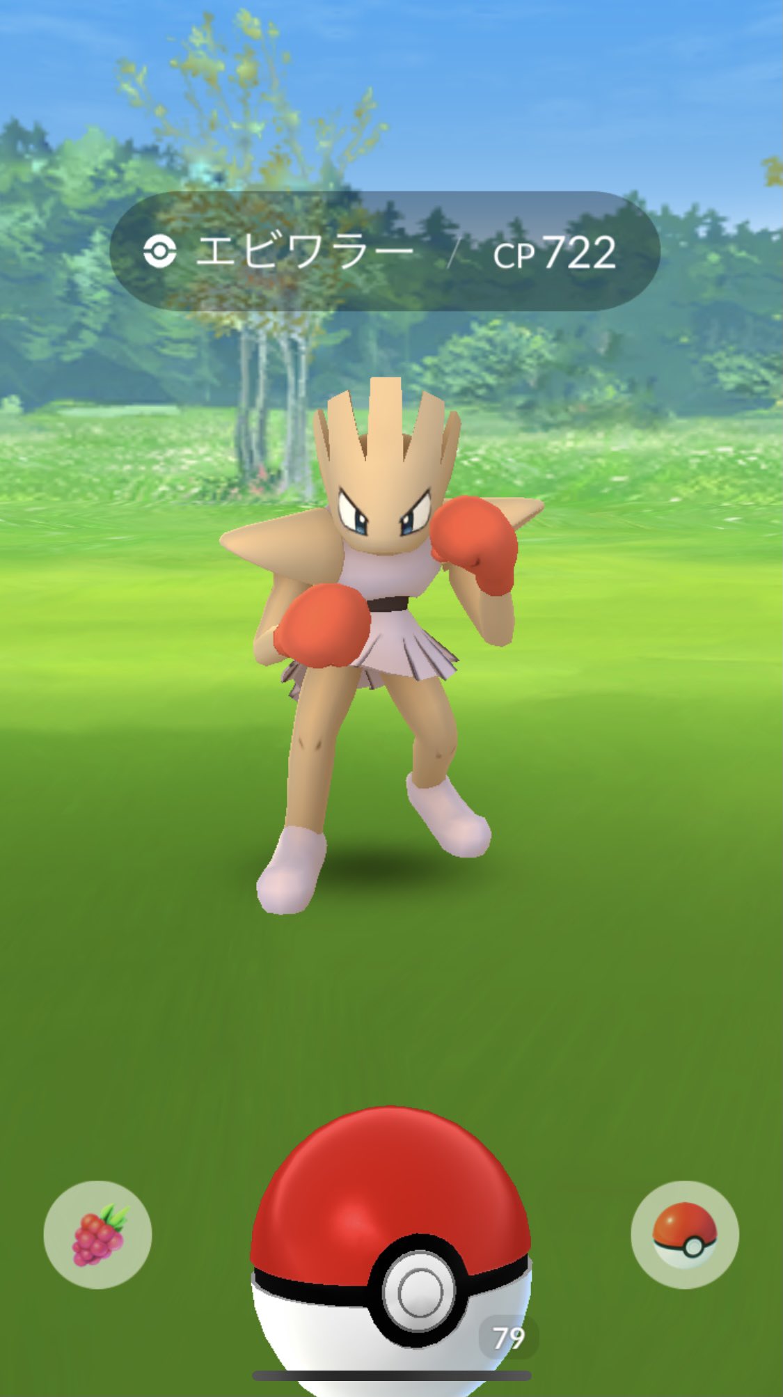 Mikazo サワムラーは男子 エビワラーは女子 じゃなかった 笑 スカートじゃないのね ポケモンgo サワムラー エビワラー T Co Rvhtlfsnwh Twitter