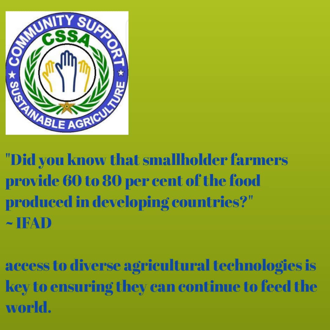 CSSA2019's tweet image. Do you know?