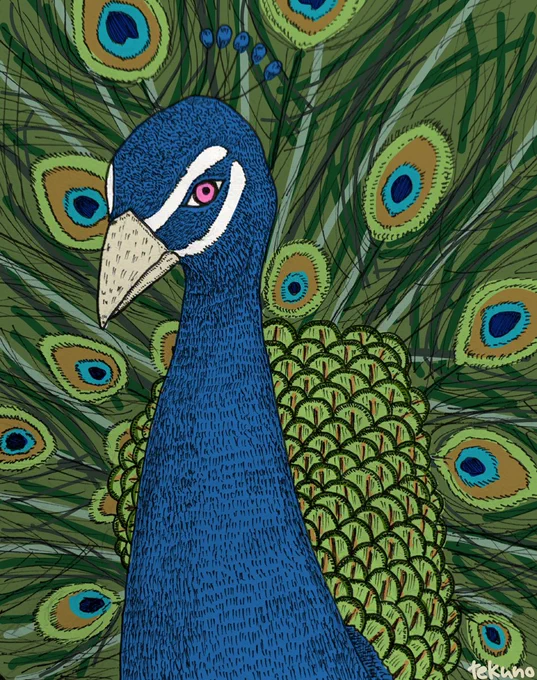 前に描いたイラスト。
派手な鳥さん詰め合わせ。 