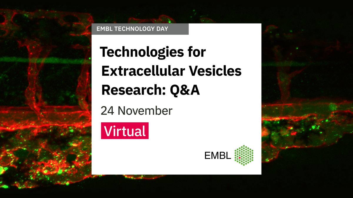 EMBLEvents's tweet photo. We'll review pre-analytical variables, EV isolation methods, EV visualisation by microscopy, and EV protein and RNA analysis, followed by breakout sessions for Q&A and further discussion. #EMBLEVs
📩Apply by 15 October
*This event is free of charge
*Limited to 60 participants https://t.co/vziuQO2lOq