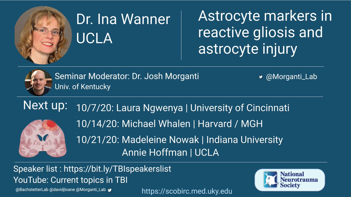 Astrocytes, astrocytes, astrocytes! This Weds @ 3p ET we have Dr. Wanner from @UCLAHealth presenting. Got some nagging questions about reactive astrocytes in brain injury? Get them answered this Weds afternoon…👀 at you @WashUGlia Join here: bit.ly/TBIZoom