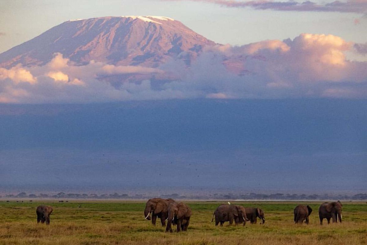 KWSKenya's tweet photo. Our national parks, sanctuaries and reserves are one of the leading tourist destinations, defined as the ‘home of the African Safari’. The local communities living around the parks continue to play a vital role in wildlife conservation. #WorldTourismDay2020 https://t.co/65quqSxgFE