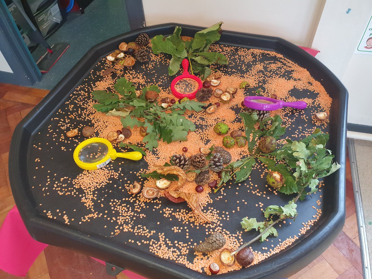 Our Autumn tuff tray was so popular with P1s today. So much curiosity and investigation going on 🔍