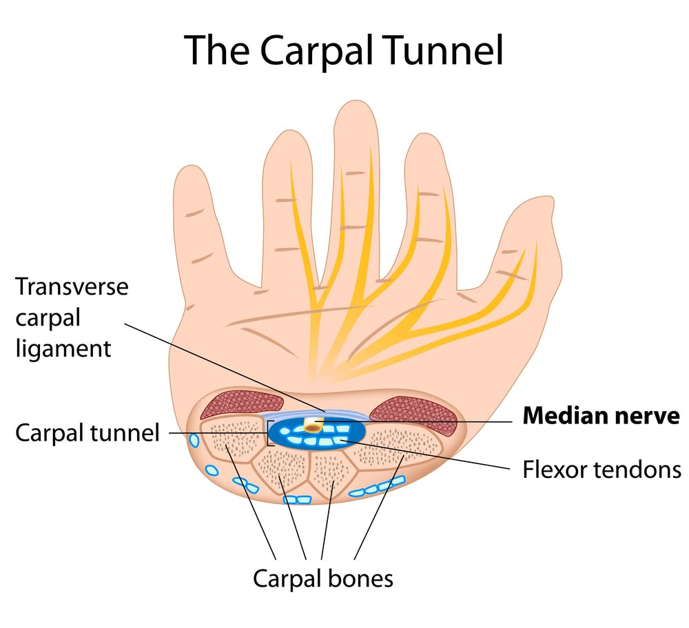 The main problem that people have down the line when they work at a computer for many years is Carpal Tunnel Syndrome.Long story short what happens is there's a tunnel where tendons and nerves pass through from the forearm to the wrist.