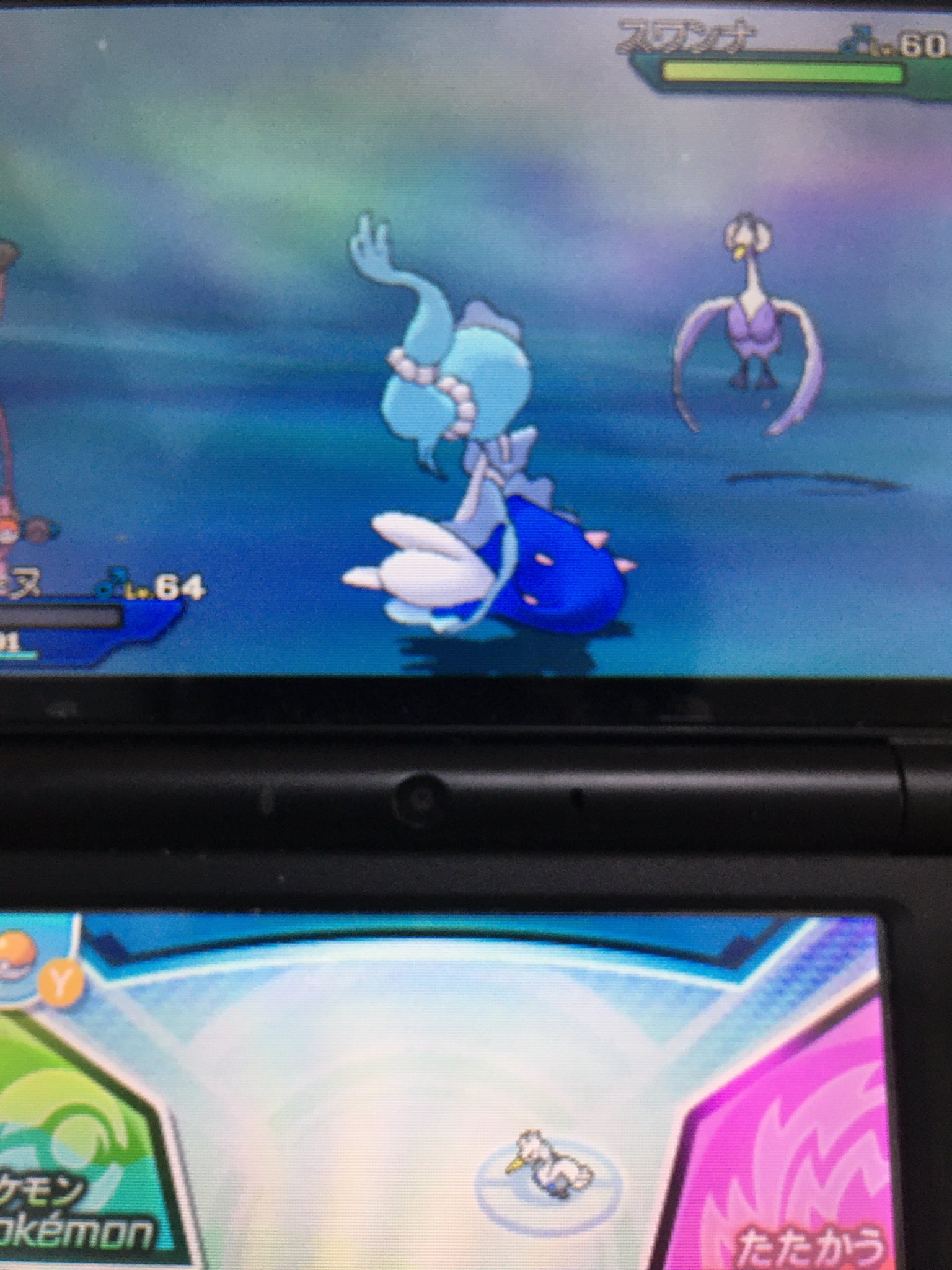 Koh コウ ポケットモンスター ポケモン 色違い スワンナ色違いきたー Koh コウ ポケットモンスター ポケモン 色違い スワンナ色違いきたー