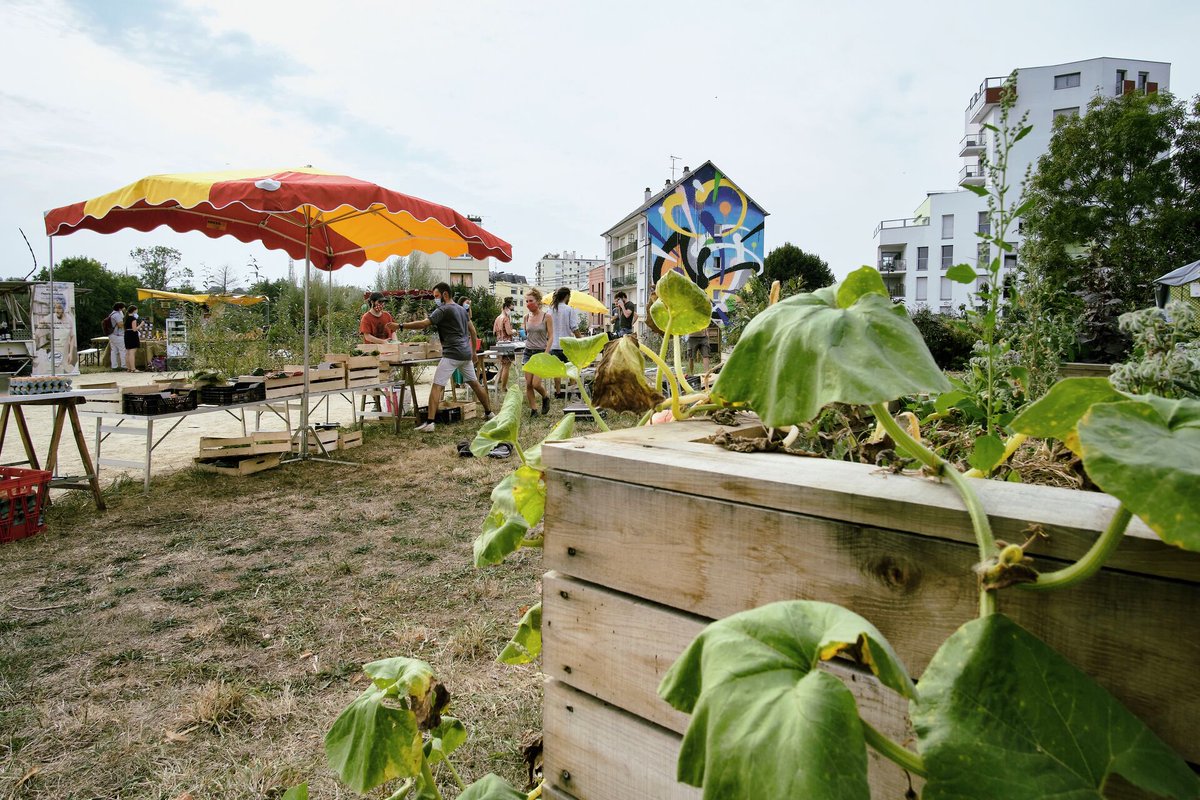 Vers une démocratie alimentaire à #rennes 
Avec le #planalimentairedurable qui a introduit 28 % de produits bio dans les cantines et baissé le gaspillage, la Ville veut étendre la question de l'alimentation à tous > Explication sur #icirennes
bit.ly/30hk5rH