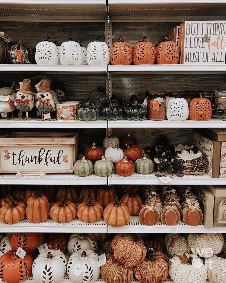 Shopping for cute decor is one of my favorite parts of fall😍 Who already started decorating for Halloween?🎃 #fall #hercampus #halloween #hcxo